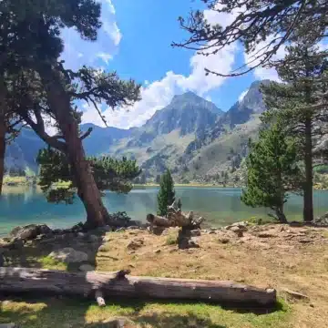 Que faire en Ariège ? Partez à la découverte de ce département plein de richesses lors de vos prochaines vacances.