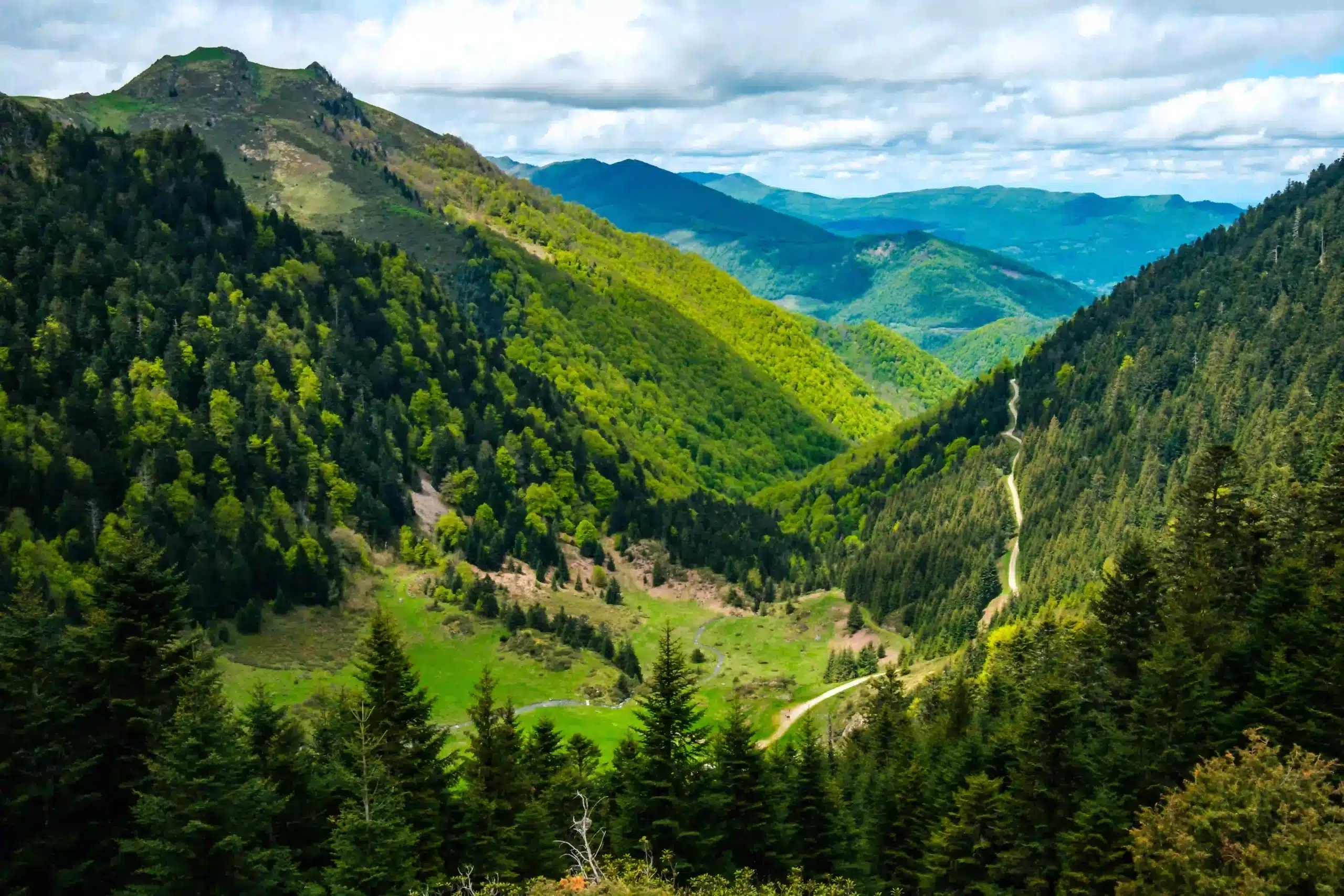 Explorer les chemins de randonnées pédestres en Ariège.